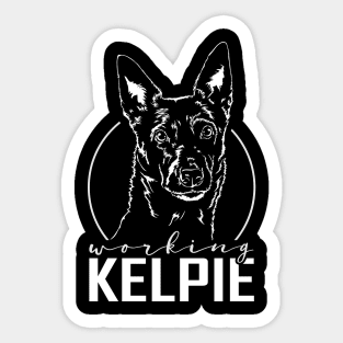 Working Kelpie dog portrait Sticker